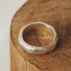 anillo senda valmo
