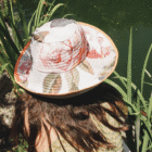 sombrero valmo studio